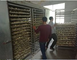 科技特派员助力笋干加工厂，带富地方万家